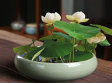 Ceramic Lotus Water Bowl Planter - Indoor Hydroponic Planting Pot for Bonsai, Succulents & Aquatic V1366-AZ2-W-16503