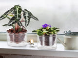 3pcs 4 Inch Self Watering Pot,African Violet Pot,Bottom Watering Glass Planter for Indoor Plants and V1366-AZ2-W-14626