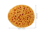 Ceiling Texture Sponge Yellow for Wall and Ceiling Repairs 8Pcs V1369-AZ3-W-20130