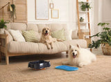 4-in-1 Slow Feeder Dog Bowl - Dark Grey Bowl with Blue Lickmat V1023-SF-4IN1-DG_DB