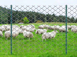 6 Feet Fence Post 6 Pack T-Post Heavy Duty Metal Fence Posts Green V952-WLLZJSK6JZ6Y7M4FOV0
