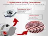 Portable Oil Extractor Pump 12V 100W Copper Motor 1-4L/min Flow Electric Oil Transfer Pump V1294-YM0901-H4927212V