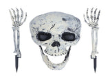 Skeleton Decor Cosplay DIY Multifunctional Lifelike Compact Scary Halloween Skeleton V1294-YM0710-3115210178811