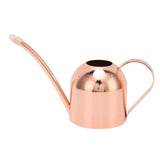 Watering Can for House Bonsai Garden Flower Outdoor Indoor Plants Long Spout Pot Stainless Steel V1294-YM0626-3111220315711