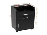 Artiss Professional Salon Station Rolling Cart, Hair Styling Beauty Cabinet with 2 Drawers & 2 FUR-AD-SAL-01-BK