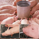 5PCS 1/2 Stainless Steel Automatic Pig Nipple Water Drinker Feeder Waterer 5PCS 1/2 Female to 3/4 V1258-DP02-C-481