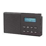 Laser DAB Plus FM Portable Radio with Bluetooth V1031-SPK-DABFM-429