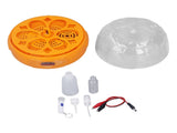 15W Egg Incubator 6 Eggs Digital Mini Fully Automatic Egg Incubator with Automatic Egg Turner for V1294-YM0901-3111230303913