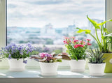 Pots Plants, 8 Pack 4 inch Plastic Planters with Multiple Drainage Holes and Trays - Plant Pots V1189-WXFWAL-20260319-01176