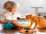 6 Pcs Cat Bowls for Food and Water Dishes Stainless Steel Pet 7 oz Anti Slip Metal Dish with V1259-DP01-A-1155