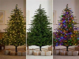 National Tree Company 9ft 2.7m Bellewood Fir Pre-Lit Artificial Christmas Tree 1100 Multi-Funct 112_NATBF9