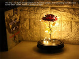 24K Gold Plated Rose Flower LED Light with Glass Cover Base Valentines'Day Wedding Gift Red V1294-YM0727-JY15089-01