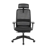 Carlie High Back Molded Foam Seat Ergonomic Office Chair In Black V369-311HB