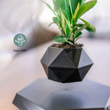 GOMINIMO Magnetic Levitating Plant Pot Black V227-3720101000990