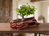 Retro Wood Grain Stump Flowerpot Brown Cement Leakproof for Plants Holding V1369-AZ3-W-18396
