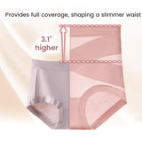Leakproof Tummy Control Panties, Ultimate Comfort Shaping Panties, Seamless Cotton Briefs V1366-AZ2-W-11397