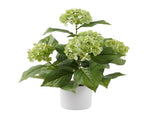 Potted Artificial Green Hydrangea 50cm V637-05075HYD