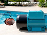 Giantz Peripheral Water Pump Auto Controller Cast Iron Garden Irrigation 1HP PUMP-QB80-2M