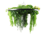 Black Framed Roof Hanging Disc With Draping Life-Like Ferns and Plants 80cm UV Resistant V637-DP80100