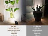 RGB LED Spot Lights with Remote - 20 Color Changing, Dimmable Indoor Accent Lamps V1171-CB-AD-SPOTLIGHT2-AU