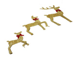 Deer Holiday Gold LED Easy Assembly 3 Piece Reindeer Family Decor for Xmas Festival Yard V1294-YM0901-3111240235711