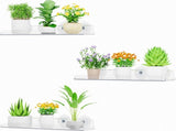 Window Plant Shelves 14.6", 2 Pack Acrylic Suction Cup Holder No-Drill Window Sill Extender for V1107-116-54589-CLR-3PACK