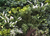 Flowering Bespoke Vertical Garden / Green Wall UV Resistant 45cm x 45cm Fire Retardant V637-DP1014119S