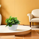 Stylish Resin Plant Pot Indoor Large Round Lightweight Tabletop Planter V1370-AZ4-14462