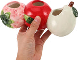Petluno Ceramic Vase in Strawberry Shape Sturdy Durable Flower Pot for Hydroponic Cuttings V1259-DP01-A-1651