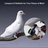 Mini Smart Pet Tracker with Collar - GPS Real-Time Location for Cats V1263-JX-6048