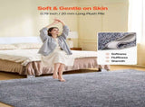 Indoor Plush Area Rugs, 2.44 x 3.05m Plush Carpet, Area Rugs Furry with Long Plushs Pile, Thick & V952-JXDDTSSCR8X1HTYN7001V0