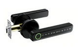 5 in 1 Smart Door Lock Fingerprint Door Knob with IC Cards and Backup Keys - Black V1263-JX-6264-2
