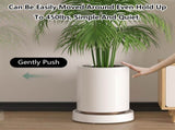 CARLA HOME 2-Pack Rolling Plant Stand with 360&deg Wheels for Indoor Pots V178-36286
