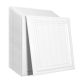 Ceiling Tiles, 16-Pack 20 x 20 in, Drop Ceiling Tiles Premium Polystyrene Sheet, Easy Installation/ V952-THBZPSB16J500WMY3V0