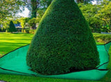 2 Set Landscape Pruning Tarp 78.7"x78.7" Waterproof Bush Trimming with Hole Shrub Catcher Four V1259-DP01-A-1217
