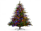 National Tree Company 9ft 2.7m Bellewood Fir Pre-Lit Artificial Christmas Tree 1100 Multi-Funct 112_NATBF9