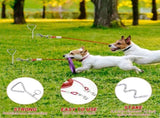 2 Set Dog Tie Out Cable and Stake - 30ft Leash Chain, 16" Spiral for Outside Yard Medium to Large V1259-DP01-A-1121
