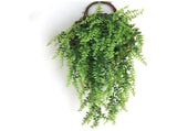 Hanging Flower Pot Plant Basket Wall Decoration Wall Hanging Plant Pots Basket Hanger Hanging V1294-YM0717-10135463