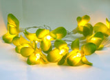 1 Set of 20 LED Green Frangipani Flower Battery String Lights Christmas Gift Home Wedding Party V382-GRFRANGIBATT20