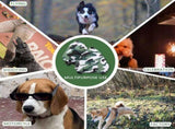 Dog Ear Muffs Noise Protection Adjustable Dog Earmuffs Ear Protection for Dogs from Noise Canceling V1370-AZ4-05369