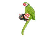 Hanging Parrots Sculptureative Realistic Animal Parrots Garden Statues Cute Tropical Bird V1294-YM0901-3115240123212