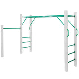 Lifespan Kids Amazon Monkey Bars Only V572-LKMB-AMA255