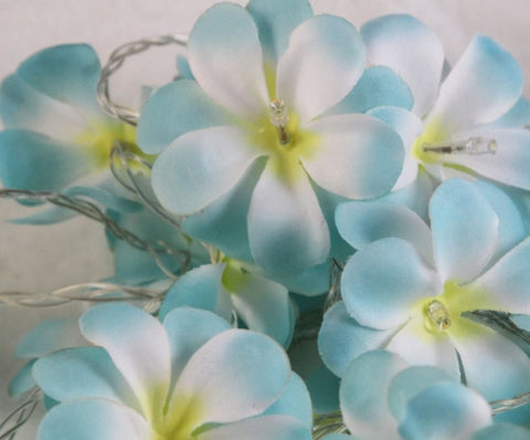 1 Set of 50 LED Tropical Blue Frangipani Flower Battery 5m LONG String Lights Christmas Gift Home V382-BLUEFRANGIBATT50