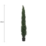 Artificial Cypress Pine Tree UV Resistant 2.1M V637-DP1009561-S