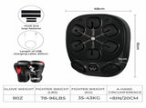 Centra Smart Music Boxing Machine With 8OZ Boxing Glove PUCH1016-8OZ