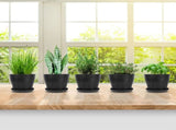 Pots for Plants, 8 Pack 4.8 inch Plastic Planters with Multiple Drainage Holes and Trays - Plant V1189-WXFWAL-20260319-01164