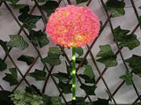 Solar Ball Light Outdoor Waterproof Garden Flower Spot Light Decorative for Courtyard Pink V1294-YM0901-3119240056911