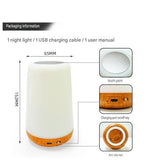 2-piece Bedroom Atmosphere Bundle White RGB Rechargeable LED Night Light Vintage Camping Style V888-ELOSUNG53476