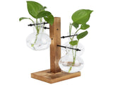 Innovative Hydroponic Vase with Wooden Stand Transparent Desktop Flower Vase for Home V1294-YM0714-3111210271911