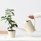 beige Watering Can for Indoor Plants, Flower Watering Can, Water Can for Plants, Indoor Watering Can V1369-AZ3-W-04297